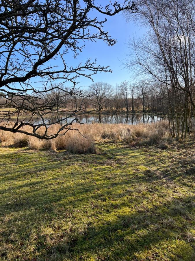 Overnachten In Zeeland 巴勒哈姆斯泰德 外观 照片